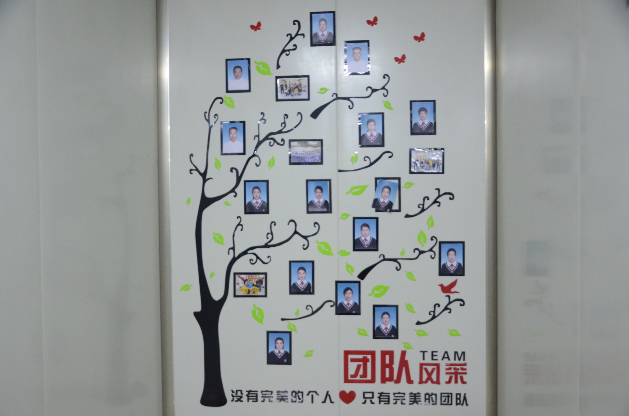 12用用团队风采.jpg
